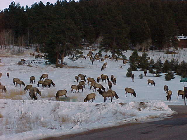 Evergreen, Colorado